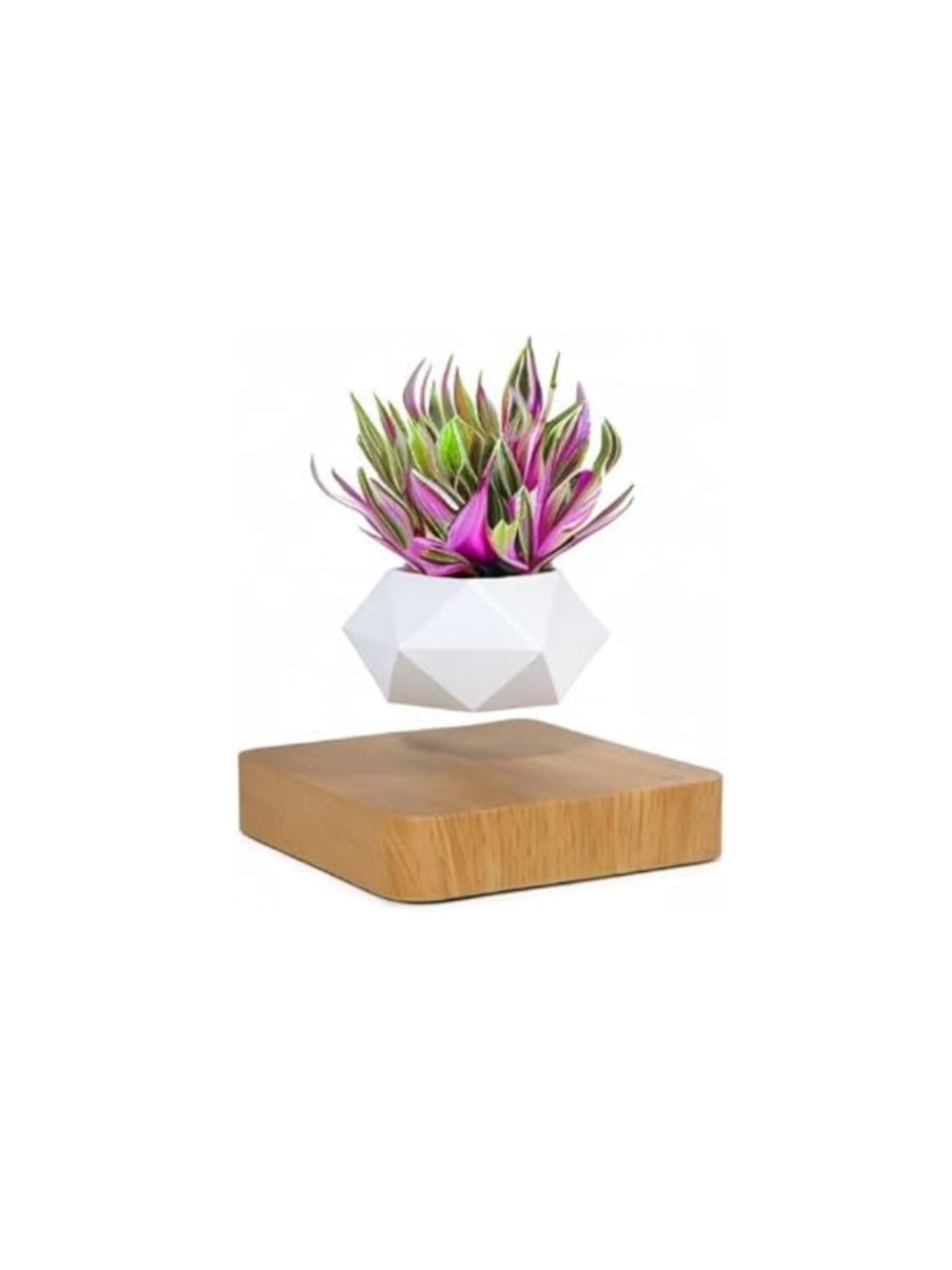 Magnetic Levitating Floating Plant Pot | LED Levitation Planter Faux Wooden Base